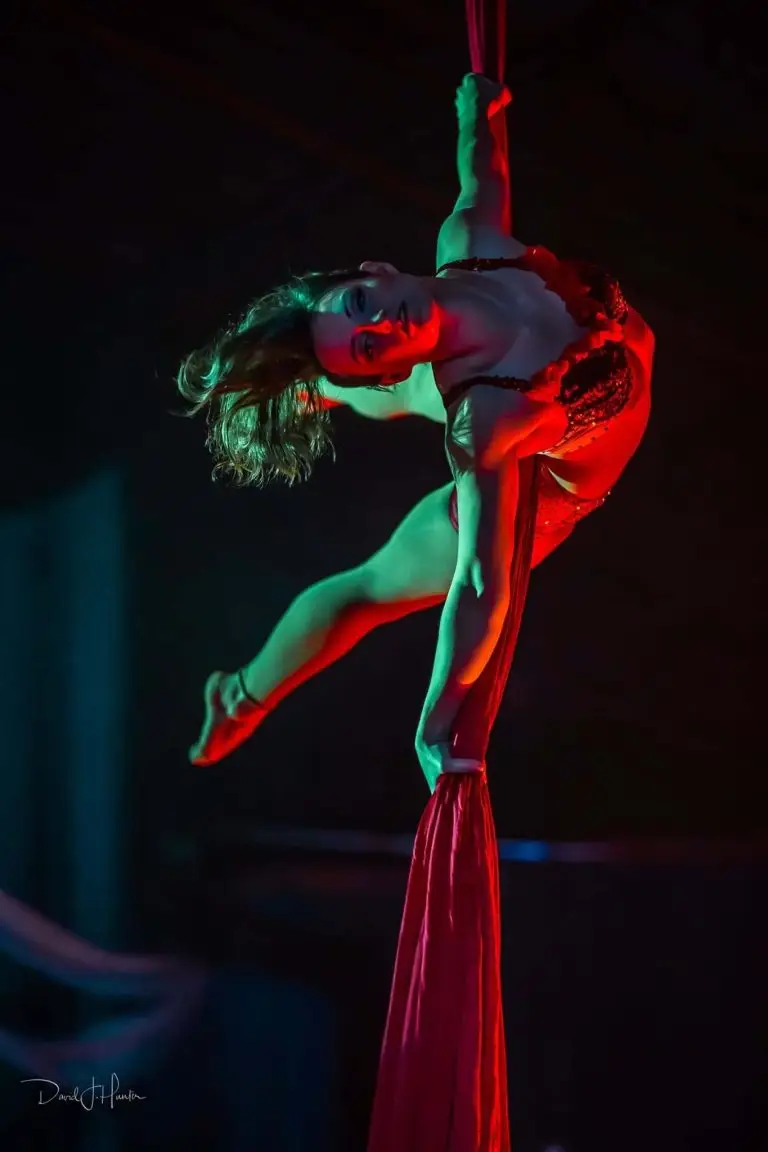 Va Va Vixens Performer Fibonacci Sequins