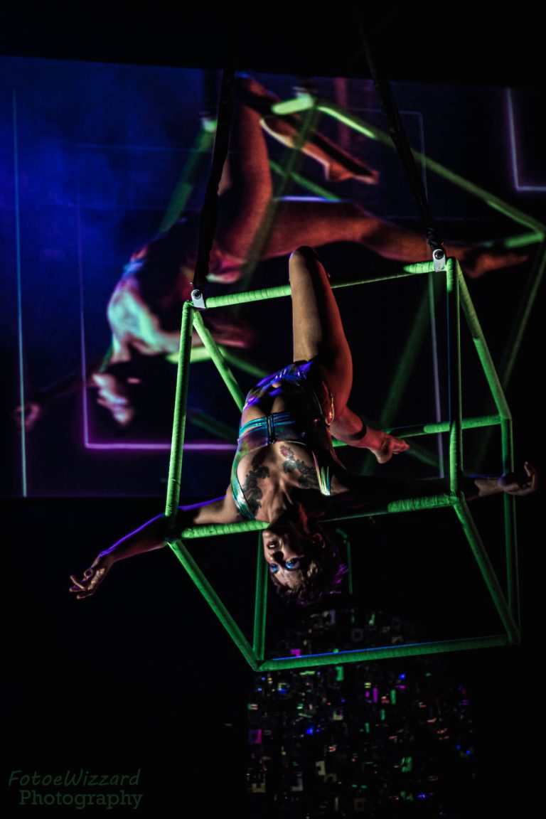 Va Va Vixens Performer Queerella