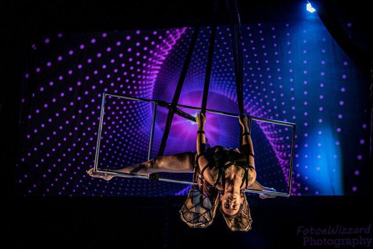 Va Va Vixens Performer Queerella