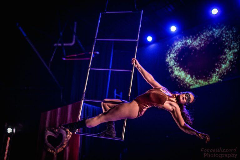 Va Va Vixens Performer Queerella